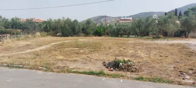 (For Sale) Land Plot ||  West Attica/Fyli - 561 Sq.m, 175.000€ 