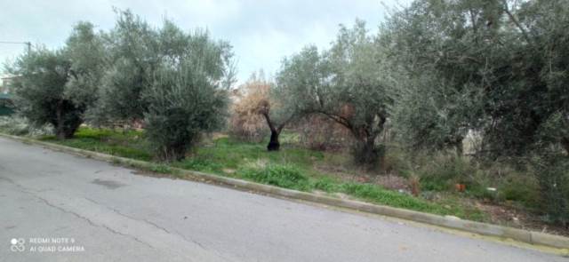 (For Sale) Land Plot ||  West Attica/Ano Liosia - 354 Sq.m, 70.000€ 